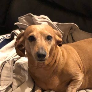 Meet your Posher, Doreen